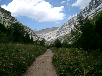 Circo de soaso